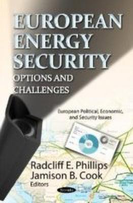 European Energy Security(English, Paperback, unknown)
