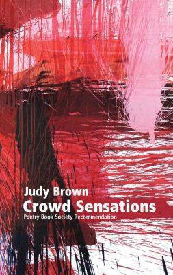 Crowd Sensations(English, Paperback, Brown Judy)