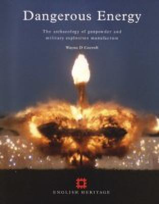 Dangerous Energy(English, Paperback, Cocroft Wayne D.)