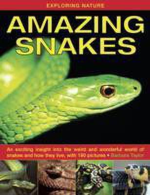 Exploring Nature: Amazing Snakes(English, Hardcover, Taylor Barbara)