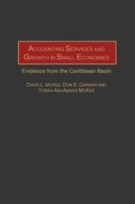 Accounting Services and Growth in Small Economies(English, Hardcover, Garner Don E.)