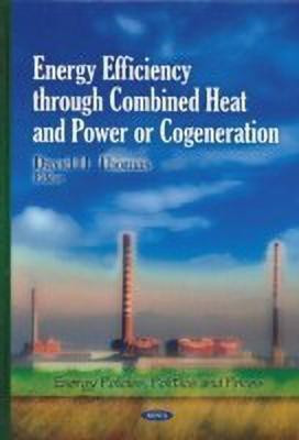 Energy Efficiency Through Combined Heat & Power or Cogeneration(English, Hardcover, unknown)