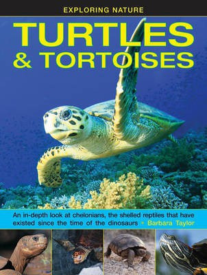 Exploring Nature: Turtles & Tortoises(English, Hardcover, Taylor Barbara)