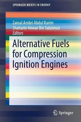 Alternative Fuels for Compression Ignition Engines(English, Paperback, unknown)
