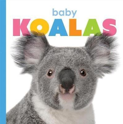 Baby Koalas(English, Paperback, Riggs Kate)