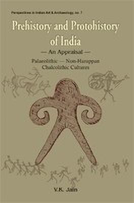 Prehistory and Protohistory of India(English, Paperback, Jain V. K.)