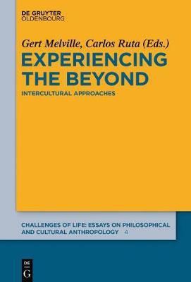 Experiencing the Beyond(English, Electronic book text, unknown)