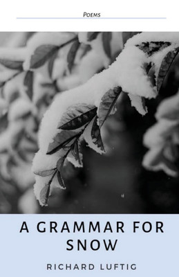 A Grammar for Snow(English, Paperback, Luftig Richard)