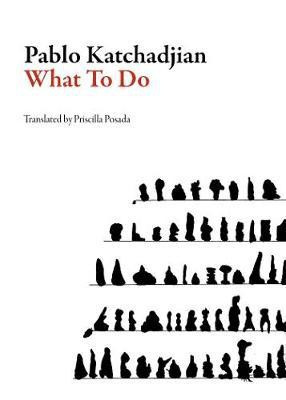 What to Do(English, Paperback, Katchadjian Pablo)