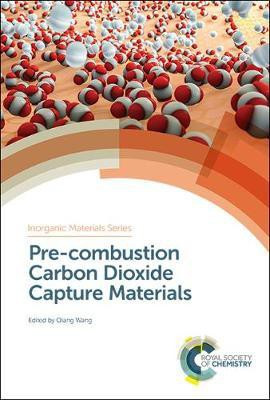 Pre-combustion Carbon Dioxide Capture Materials(English, Electronic book text, unknown)