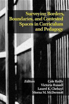 Surveying Borders, Boundaries, and Contested Spaces in Curriculum and Pedagogy(English, Electronic book text, unknown)