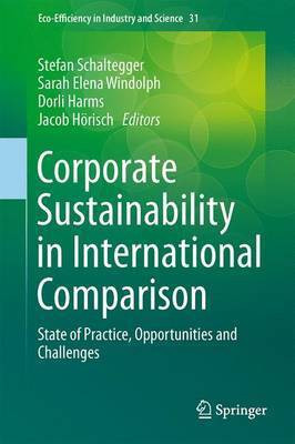 Corporate Sustainability in International Comparison(English, Electronic book text, unknown)
