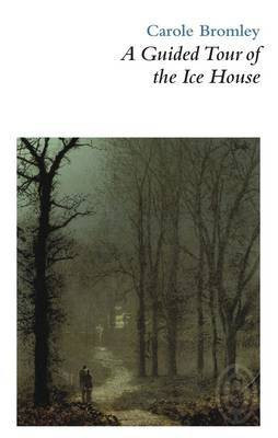 A Guided Tour of the Ice House(English, Paperback, unknown)