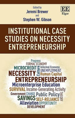 Institutional Case Studies on Necessity Entrepreneurship(English, Hardcover, unknown)