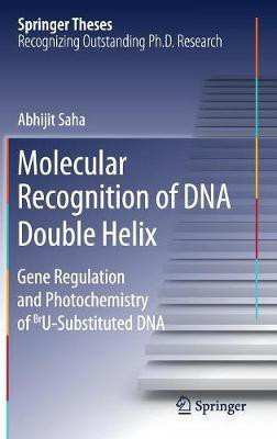 Molecular Recognition of DNA Double Helix(English, Hardcover, Saha Abhijit)