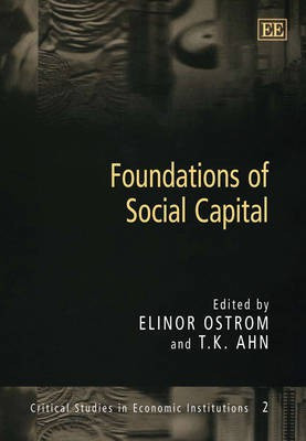 Foundations of Social Capital(English, Paperback, unknown)