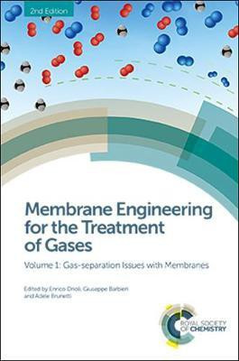 Membrane Engineering for the Treatment of Gases(English, Electronic book text, unknown)