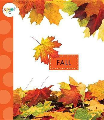 Fall(English, Paperback, Schuh Mari C)