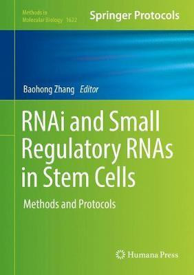 RNAi and Small Regulatory RNAs in Stem Cells(English, Hardcover, unknown)
