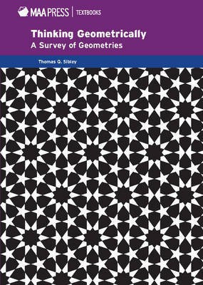 Thinking Geometrically(English, Hardcover, Sibley Thomas Q.)