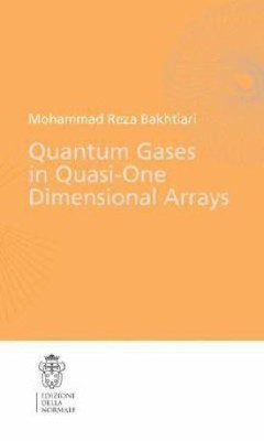 Quantum Gases in Quasi-One-Dimensional Arrays(English, Paperback, Bakhtiari Mohammad Reza)