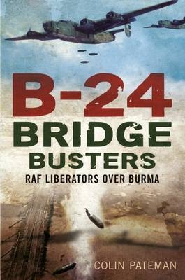 B-24 Bridge Busters(English, Hardcover, Colin Pateman)