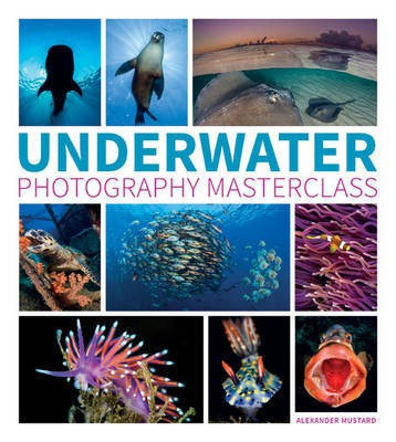 Underwater Photography Masterclass(English, Paperback, Mustard A)