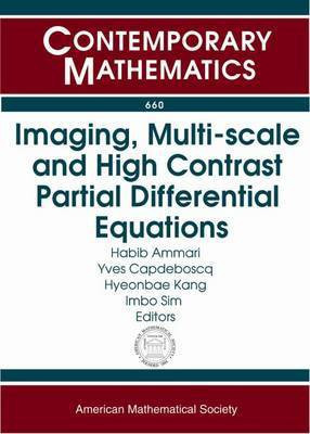 Imaging, Multi-scale and High Contrast Partial Differential Equations(English, Paperback, unknown)