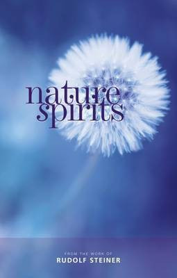 Nature Spirits(English, Paperback, Steiner Rudolf)