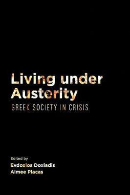 Living Under Austerity(English, Hardcover, unknown)