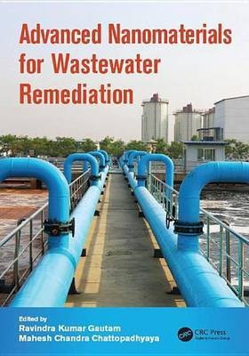 Advanced Nanomaterials for Wastewater Remediation(English, Electronic book text, unknown)