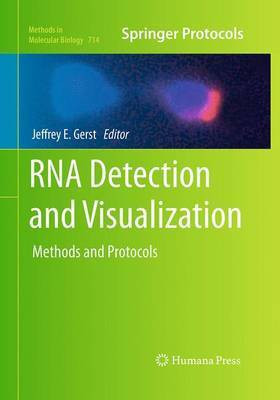 RNA Detection and Visualization(English, Paperback, unknown)