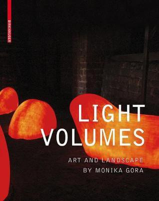 Light Volumes(English, Electronic book text, unknown)
