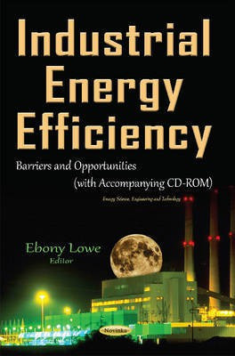 Industrial Energy Efficiency(English, Paperback, unknown)