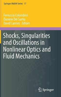 Shocks, Singularities and Oscillations in Nonlinear Optics and Fluid Mechanics(English, Hardcover, unknown)