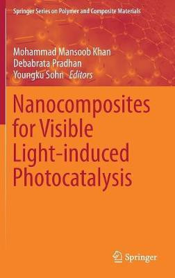 Nanocomposites for Visible Light-induced Photocatalysis(English, Hardcover, unknown)