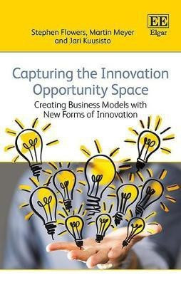 Capturing the Innovation Opportunity Space(English, Hardcover, Flowers Stephen)