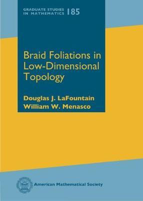 Braid Foliations in Low-Dimensional Topology(English, Hardcover, LaFountain Douglas J.)