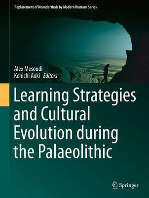 Learning Strategies and Cultural Evolution during the Palaeolithic(English, Hardcover, unknown)