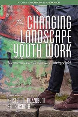 The Changing Landscape of Youth Work(English, Paperback, unknown)