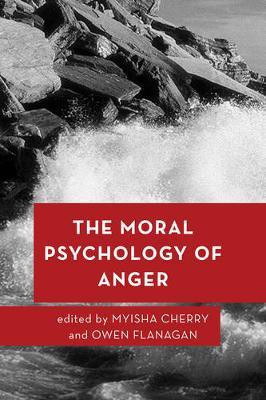 The Moral Psychology of Anger(English, Hardcover, unknown)