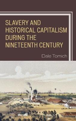 Slavery and Historical Capitalism during the Nineteenth Century(English, Hardcover, unknown)