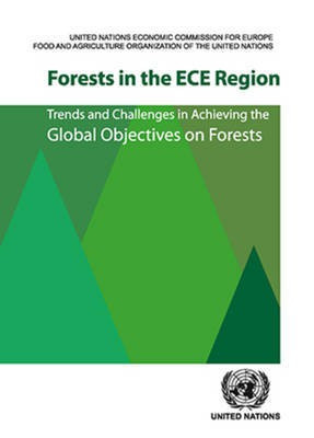 Forests in the ECE Region(English, Paperback, Europe United Nations Economic Commission for)