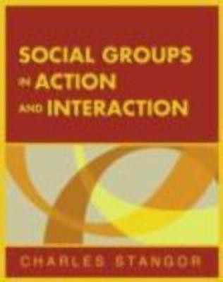Social Groups in Action and Interaction(English, Paperback, Stangor Charles)