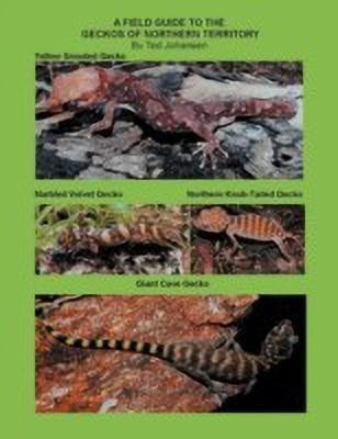 A Field Guide to the Geckos of Northern Territory(English, Paperback, Johansen Ted)