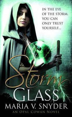 Storm Glass(English, Paperback, Snyder Maria V.)