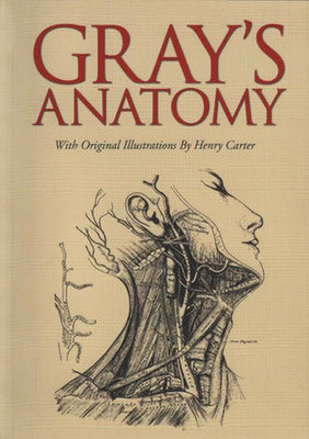 Gray's Anatomy(English, Paperback, Gray Henry)