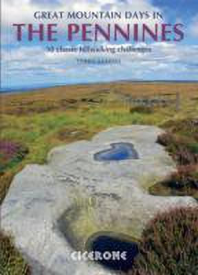Great Mountain Days in the Pennines(English, Paperback, Marsh Terry)