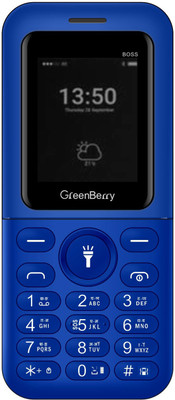 GreenBerry Boss(Blue)