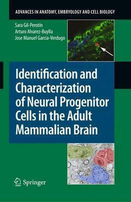 Identification and Characterization of Neural Progenitor Cells in the Adult Mammalian Brain(English, Electronic book text, Gil-Perotin Sara)